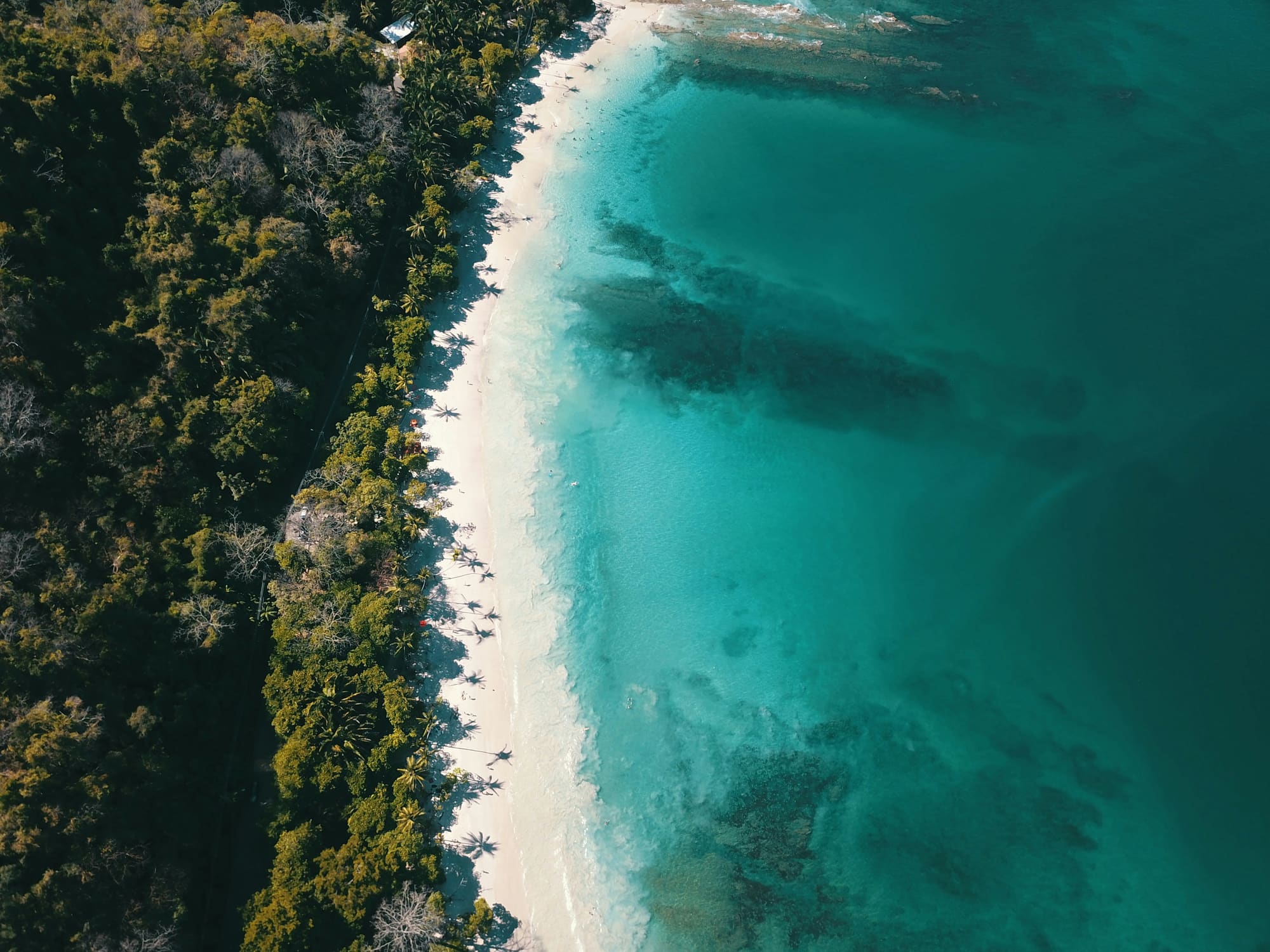 Aerial view of the Guanacaste coastline, jungle meeting turquoise water