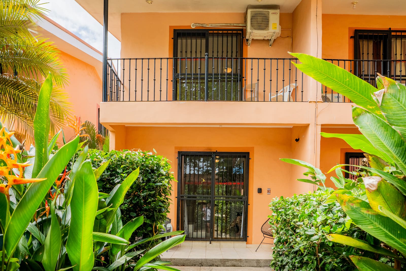 Begonias 3 — 150m from the Beach