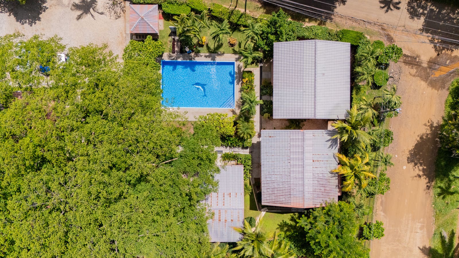 Begonias 3 — 150m from the Beach