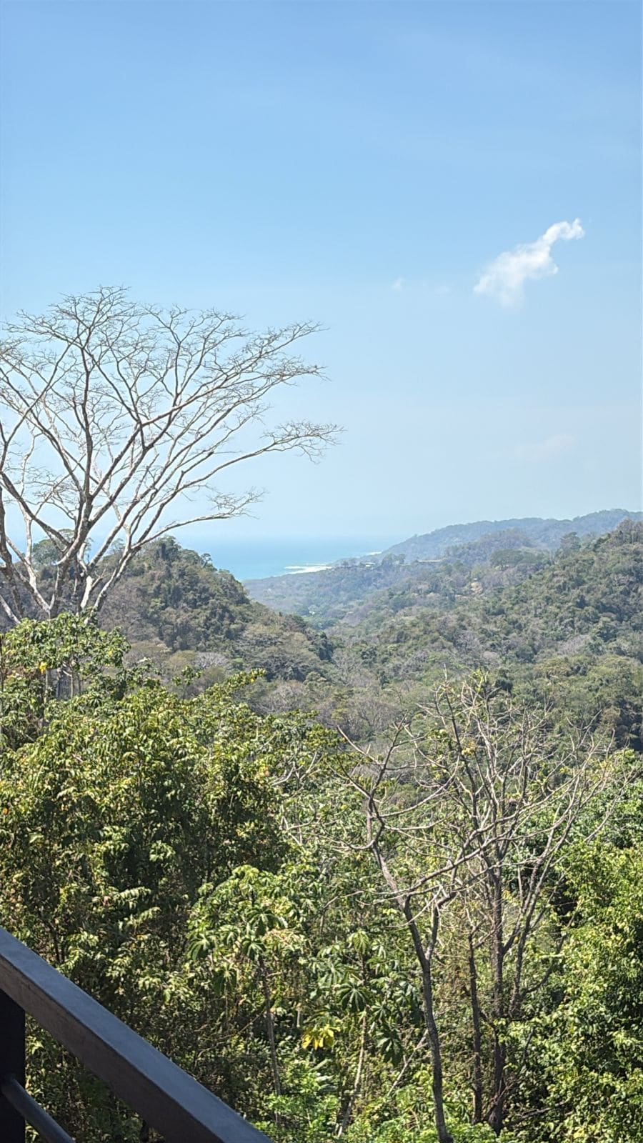 Newly Built Modern Home with Ocean & Jungle Views, Infinity Pool